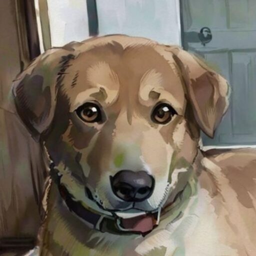 ごんちゃん先生
